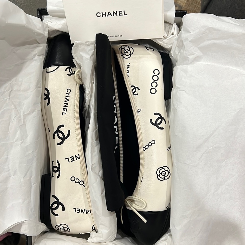 Printed lambskin ballerinas NEVER WORN, NEW IN BOX